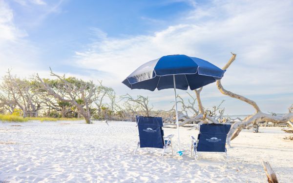 Driftwood Beach on Jekyll Island