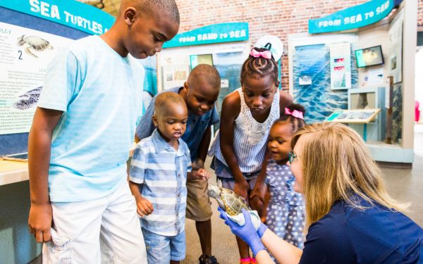 Jekyll Island Georgia Sea Turtle Center