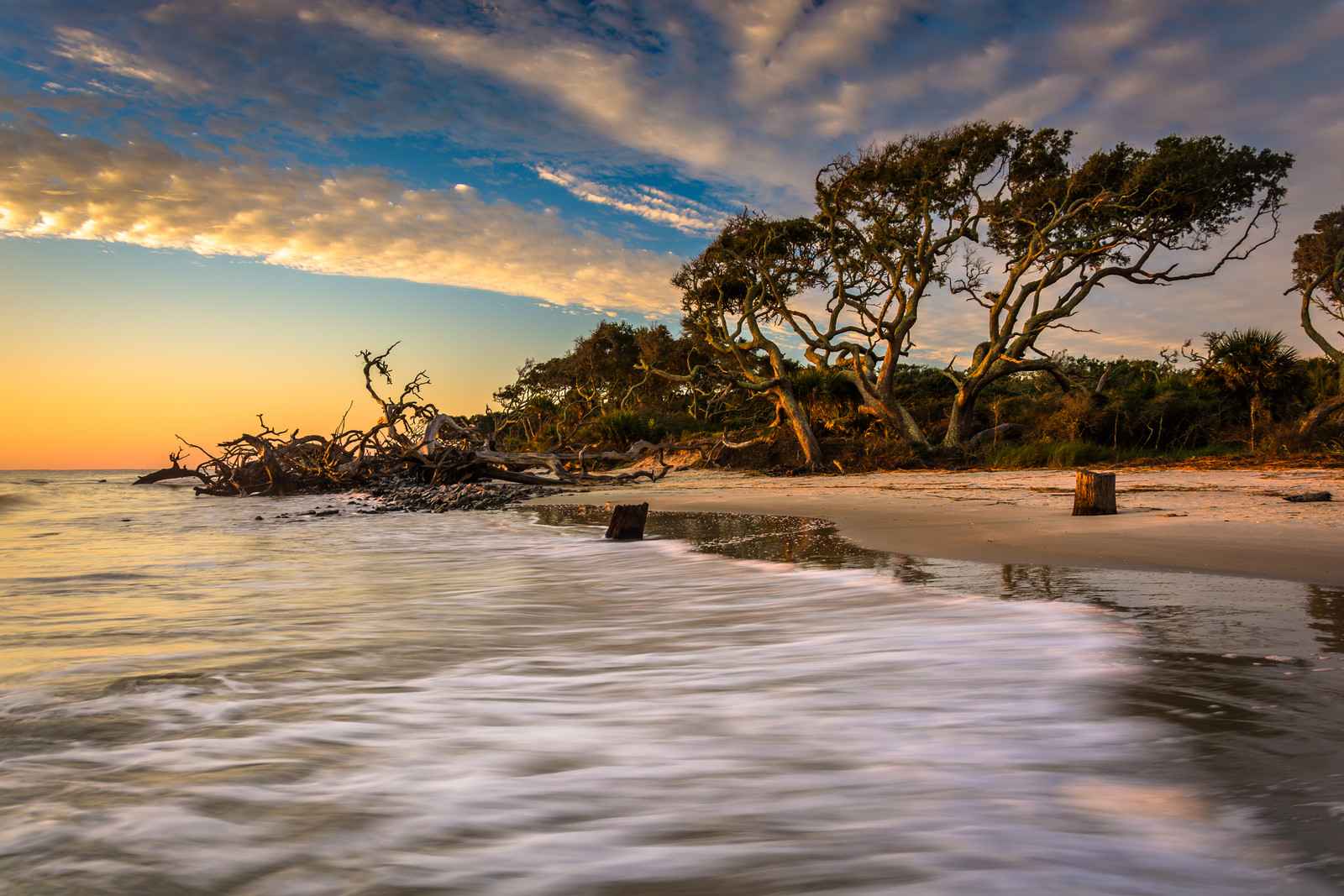 Sunset on beach with driftwood laying in sand on jekyll island